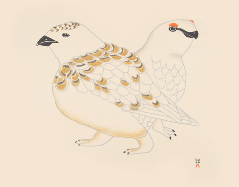 Rock Ptarmigan, 1997