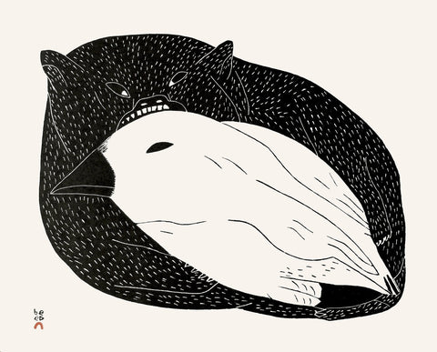 Nunavut Vampire