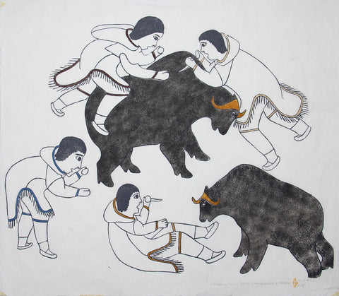 Dangerous Muskox