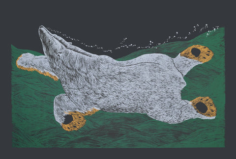 Swimming Bear