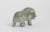 Muskox