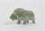 Muskox