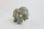 Muskox