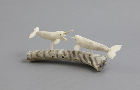 Two Narwhals