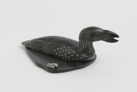 Loon