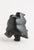 Dancing Polar Bear