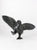 Dancing Bird
