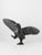Dancing Bird