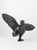 Dancing Bird