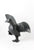 Dancing Bird