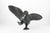Dancing Bird
