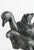 Animal Composition