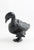 Dancing Bird