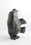 Dancing Walrus