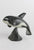 Killerwhale on Base