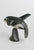 Killerwhale on Base