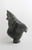 Dancing Polar Bear