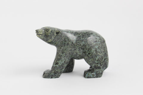 Walking Polar Bear
