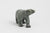 Walking Polar Bear