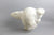 Dancing Polar Bear