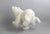 Dancing Polar Bear