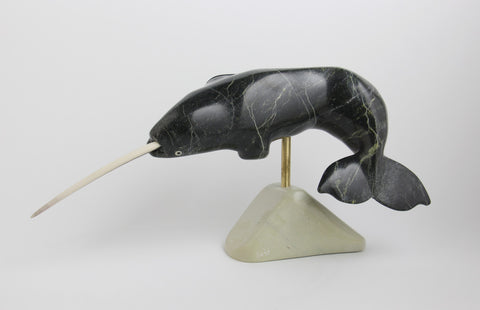 Narwhal
