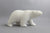 Walking Bear