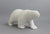 Walking Bear