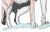 Untitled (Howling Wolf), 2024
