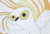 Untitled (Streaming Owl)