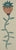 Untitled (Plant)
