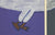 Untitled (Flying Bird)