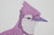 Untitled (Pink Jay)