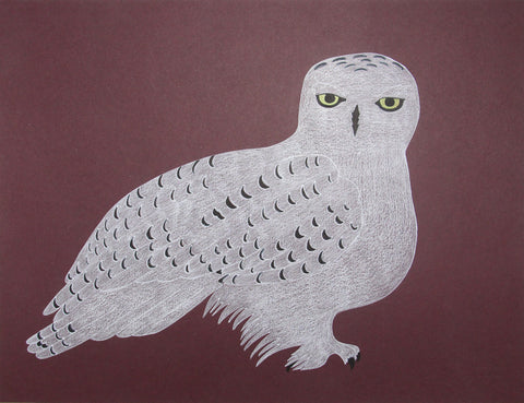 Snow Owl