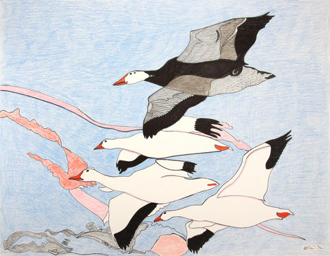 Untitled (Flying Birds)