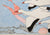 Untitled (Flying Birds)