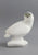 Snowy Owl