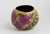 Arctic Garden Gourd