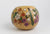 Arctic Garden Gourd