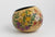 Arctic Garden Gourd