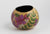 Arctic Garden Gourd