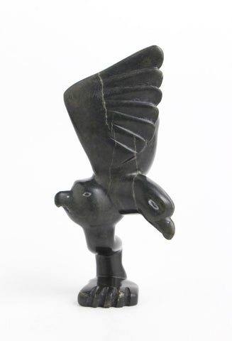 Shaman Spirit Transformation