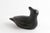 Resting Bird