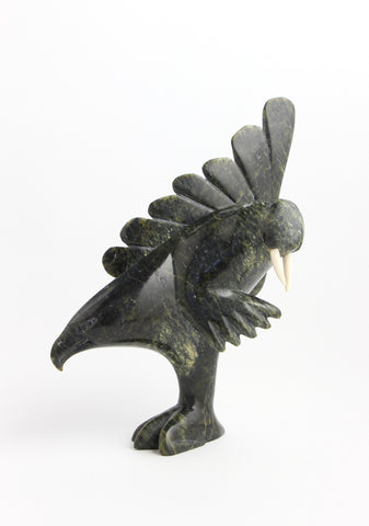 Walrus Falcon Transformation, c.1994