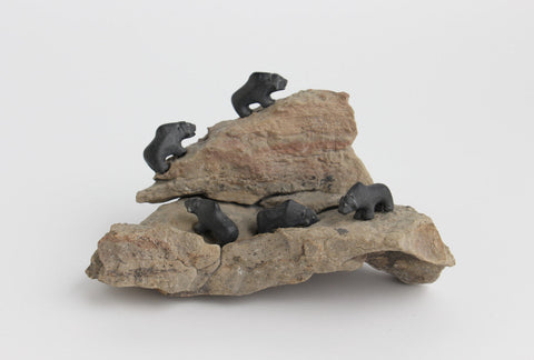 Muskoxen on Rock