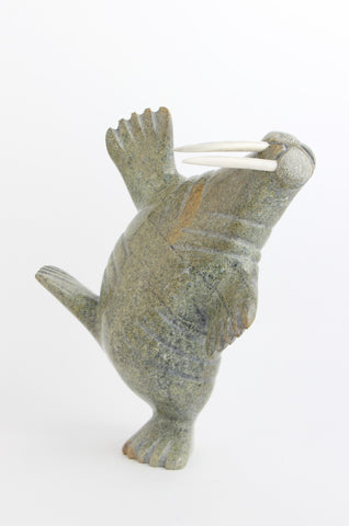Dancing Walrus