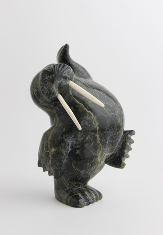 Dancing Walrus
