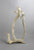 Birds, Fish, Whales, Inuit, Igloo on Antler