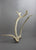 Birds, Fish, Whales, Inuit, Igloo on Antler