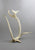 Birds, Fish, Whales, Inuit, Igloo on Antler